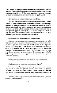 Практикум по русскому языку для старшеклассников и абитуриентов
